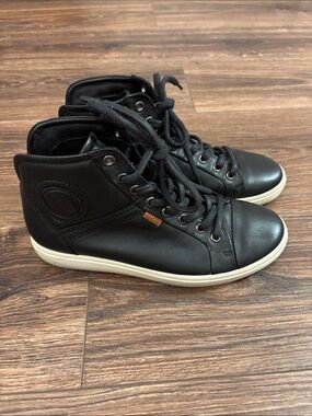 Ecco Brand